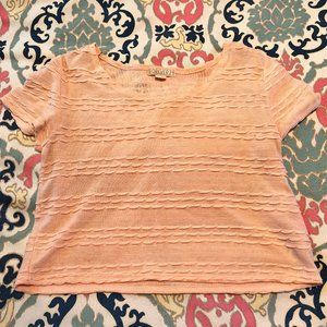 Soft Baby Pink Cropped Knit T-Shirt